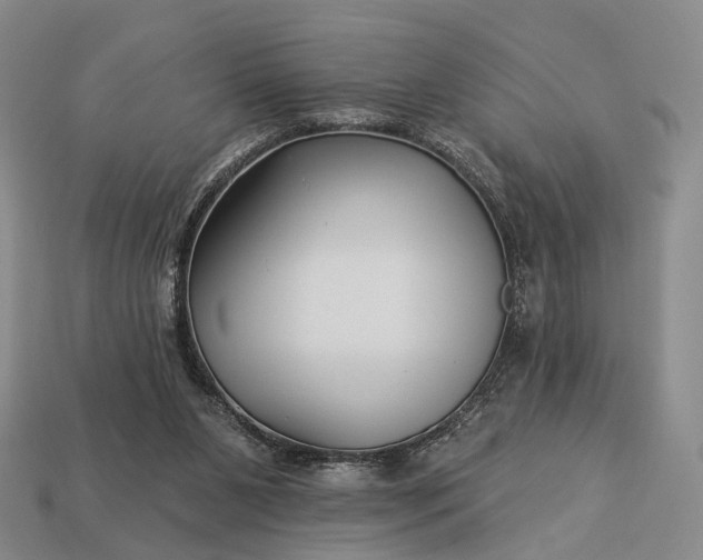 X0000112940111200909071103