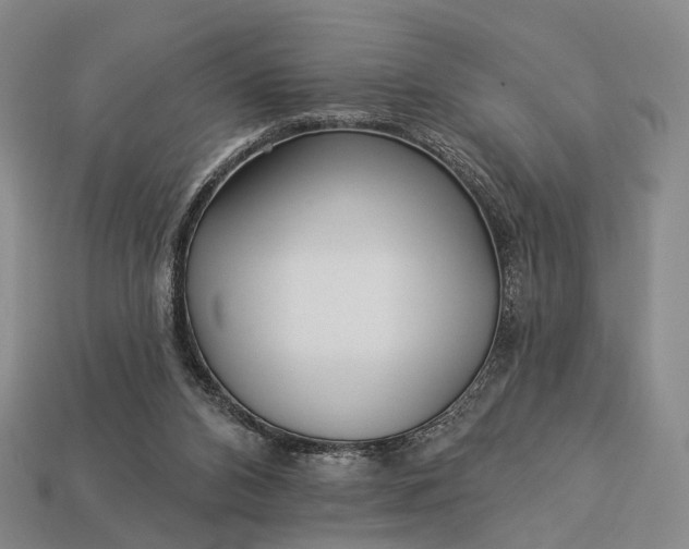 X0000112940112200909071103