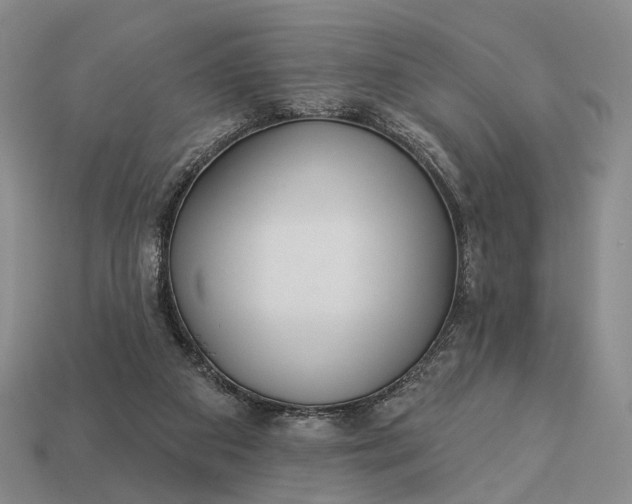 X0000112940113200909071103