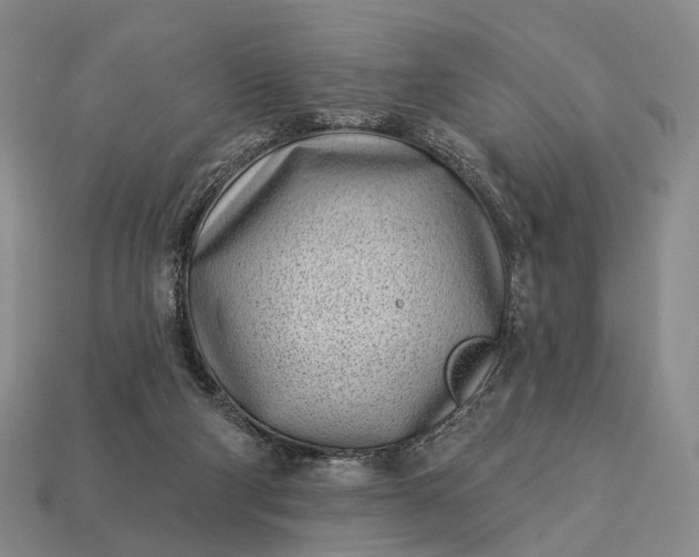 X0000112940114200909071103