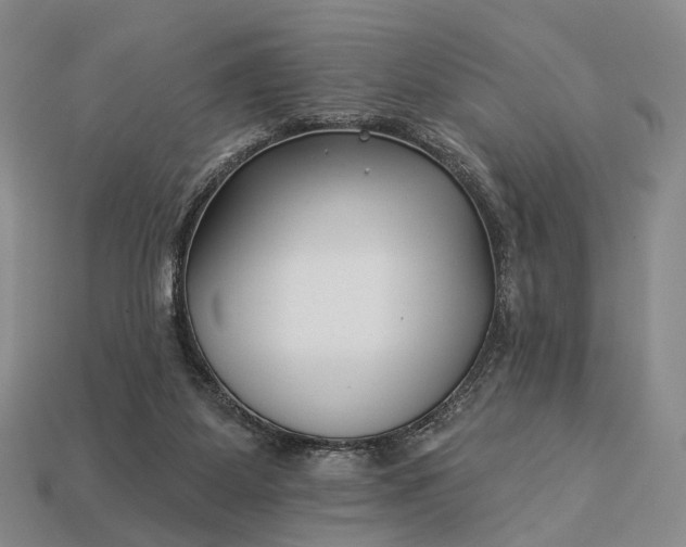 X0000112940115200909071103