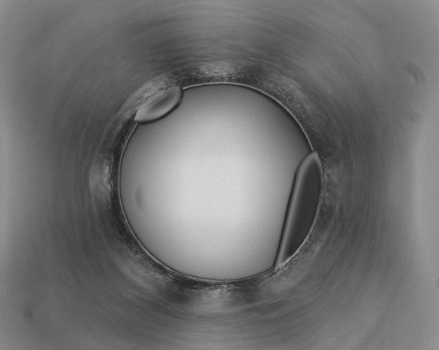 X0000112940116200909071103