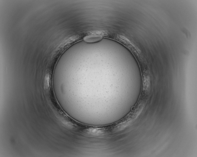 X0000112940117200909071103