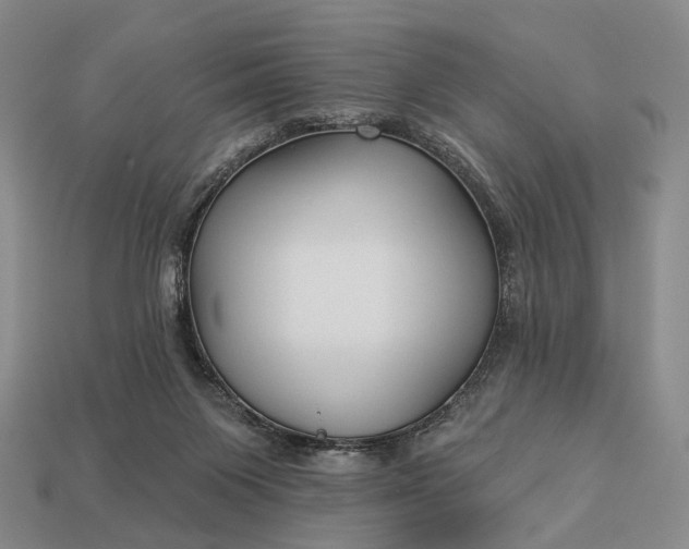 X0000112940119200909071103