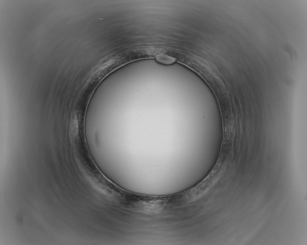 X0000112940120200909071103