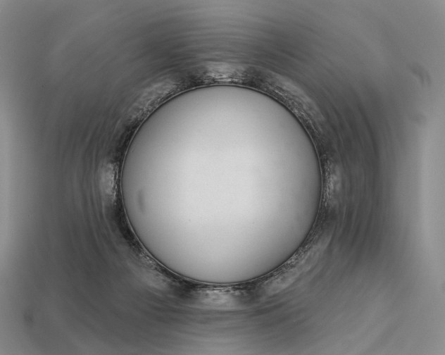 X0000112940121200909071103