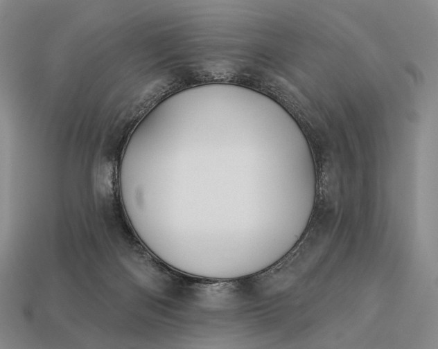 X0000112940122200909071103