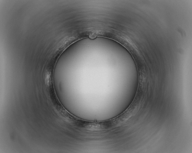 X0000112940123200909071103