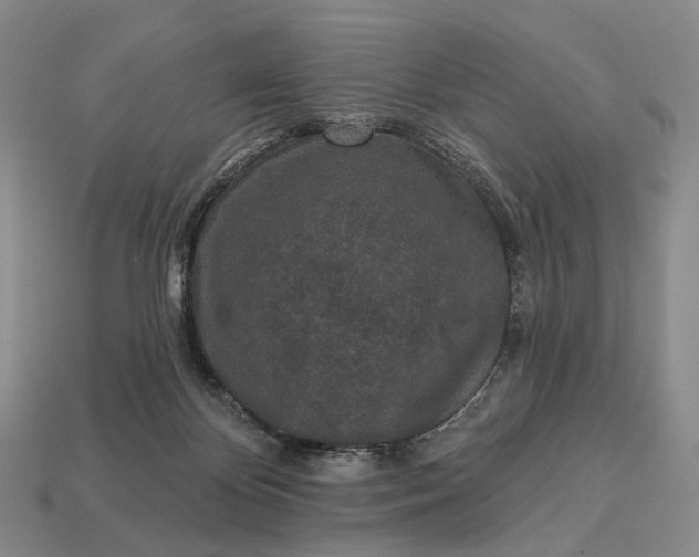 X0000112940124200909071103