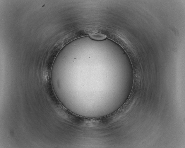 X0000112940125200909071103