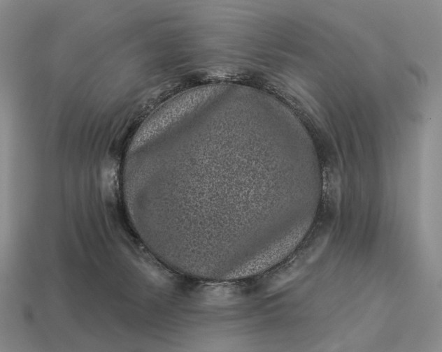 X0000112940127200909071103