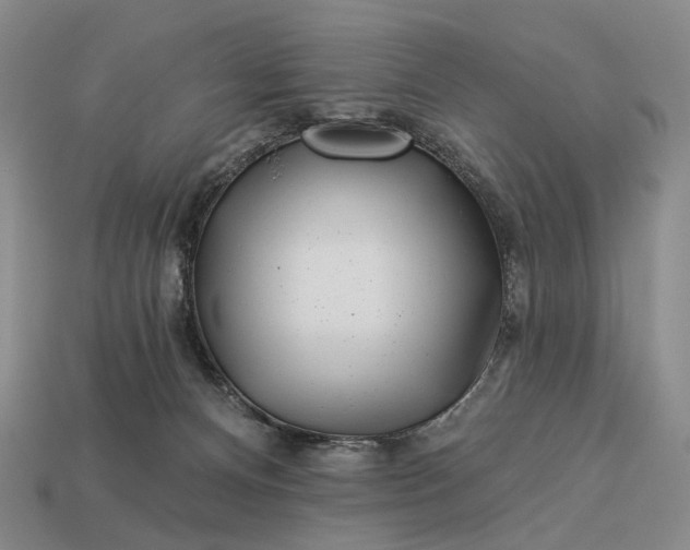 X0000112940128200909071103