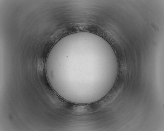 X0000112940129200909071103