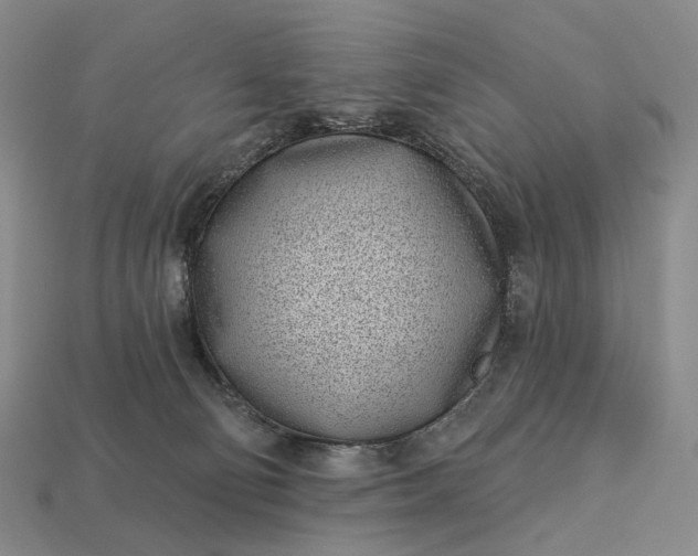 X0000112940130200909071103