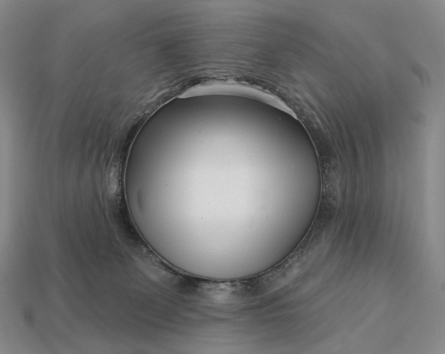 X0000112940131200909071102