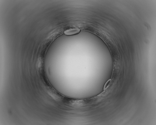 X0000112940132200909071102