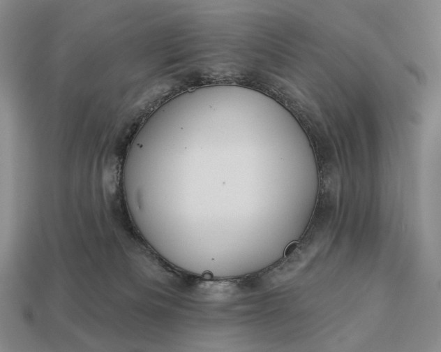 X0000112940133200909071102