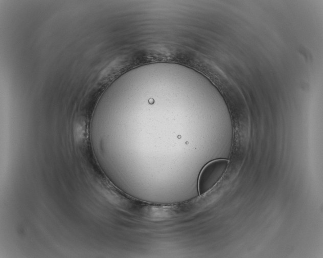 X0000112940134200909071102