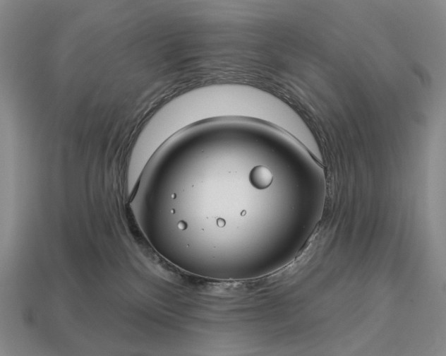 X0000112940136200909071102