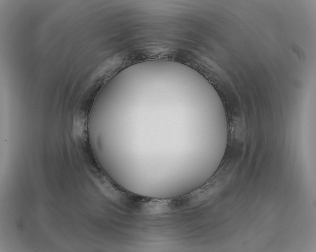 X0000112940138200909071102