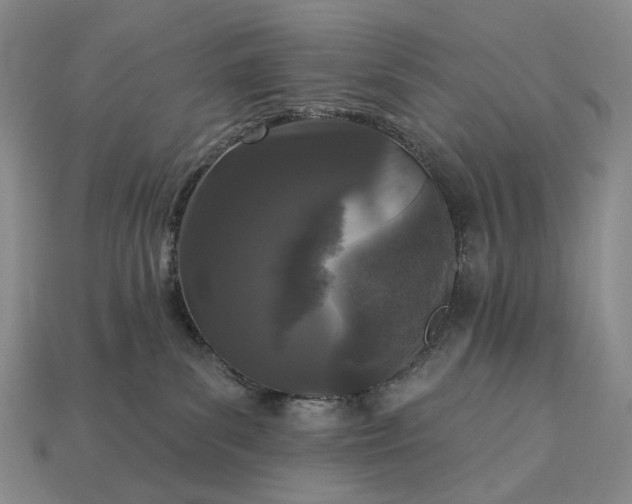 X0000112940139200909071102