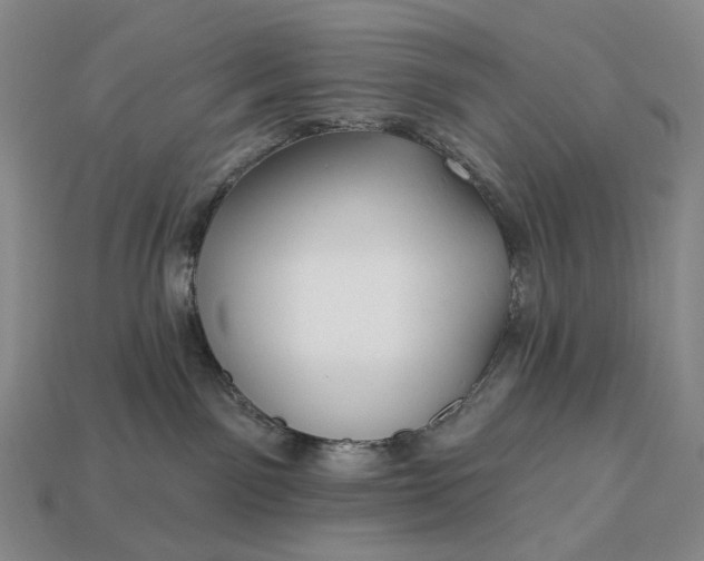 X0000112940141200909071102