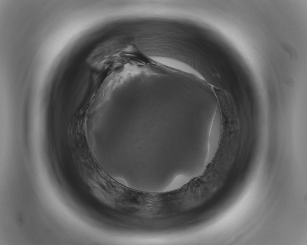 X0000112940143200909071102