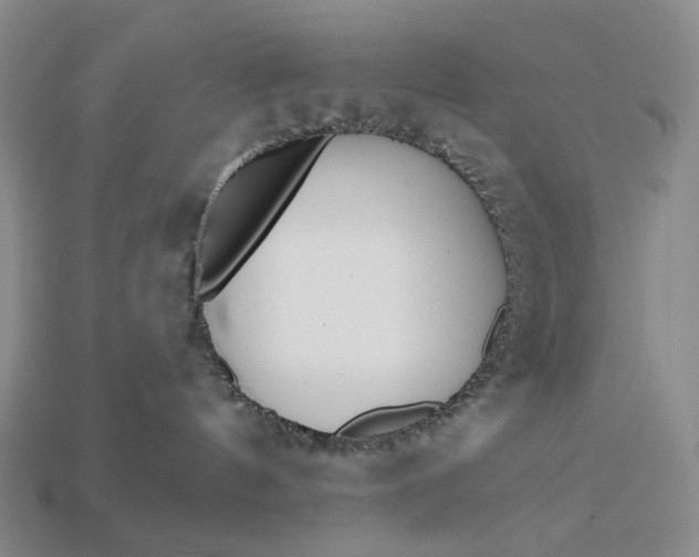 X0000112940144200909071102