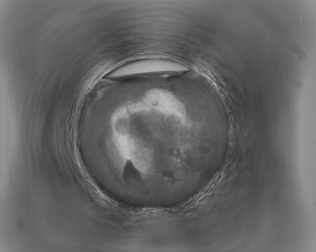 X0000112940145200909071102