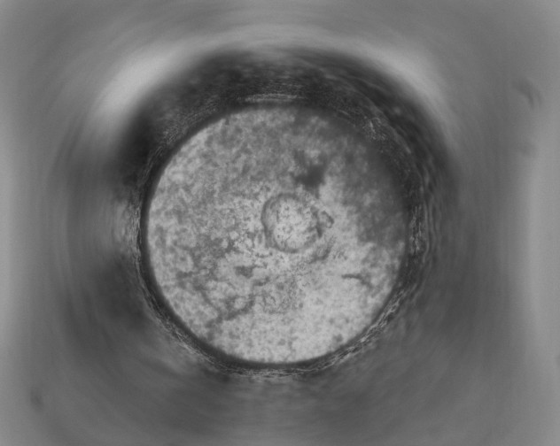 X0000112940146200909071102