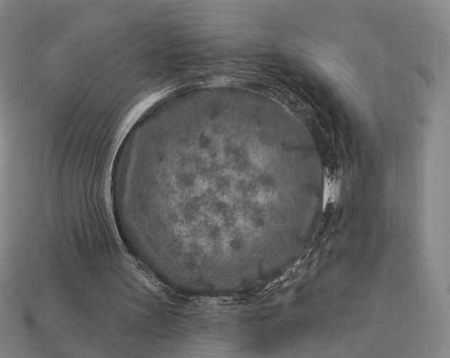 X0000112940147200909071102