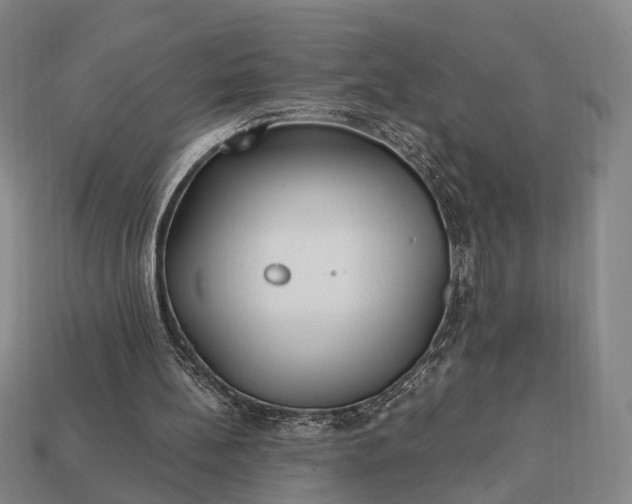 X0000112940148200909071102