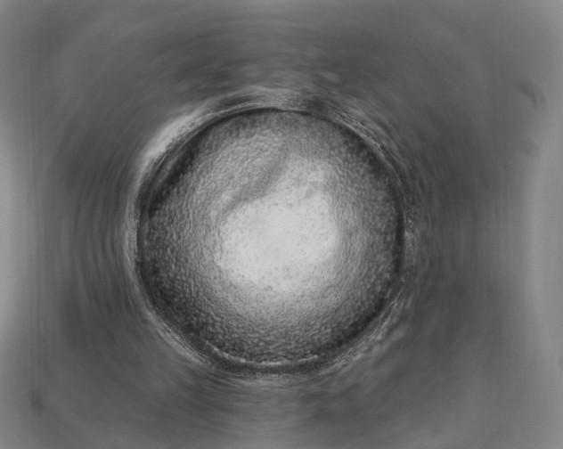 X0000112940149200909071102