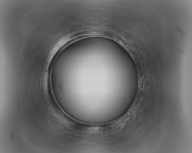 X0000112940152200909071102