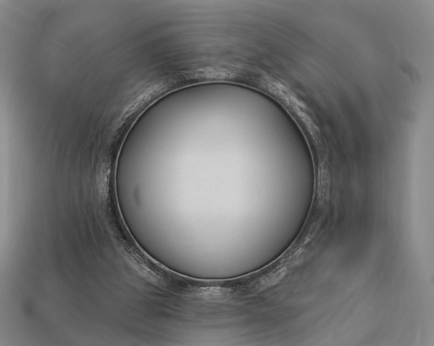 X0000112940153200909071102