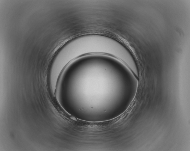 X0000112940154200909071102