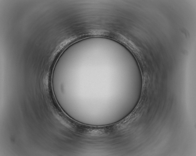 X0000112940155200909071102