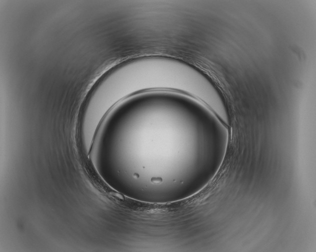 X0000112940156200909071102