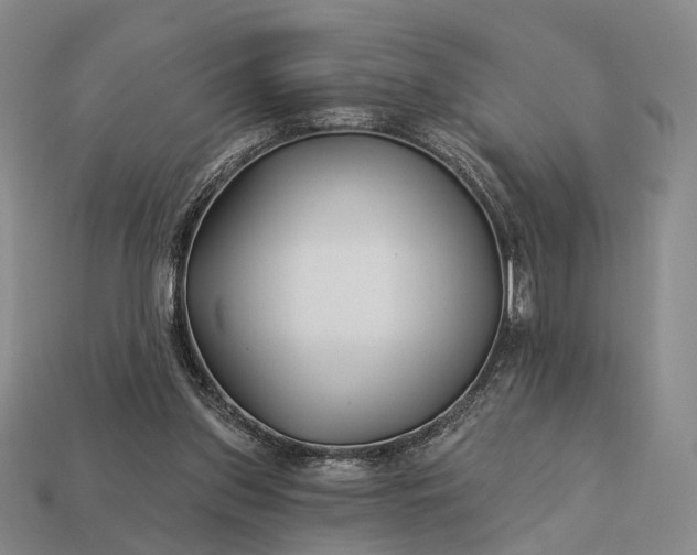 X0000112940157200909071102