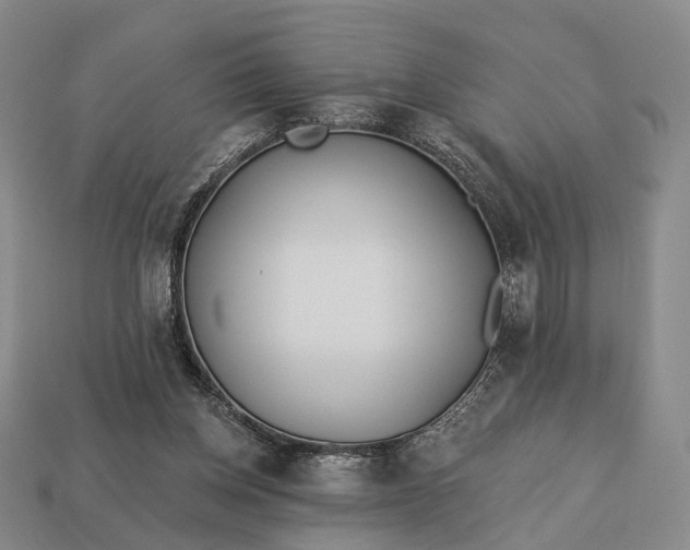 X0000112940158200909071102