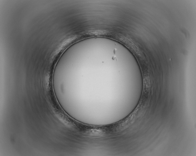 X0000112940159200909071102