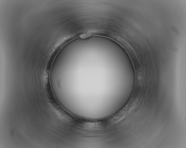 X0000112940160200909071102