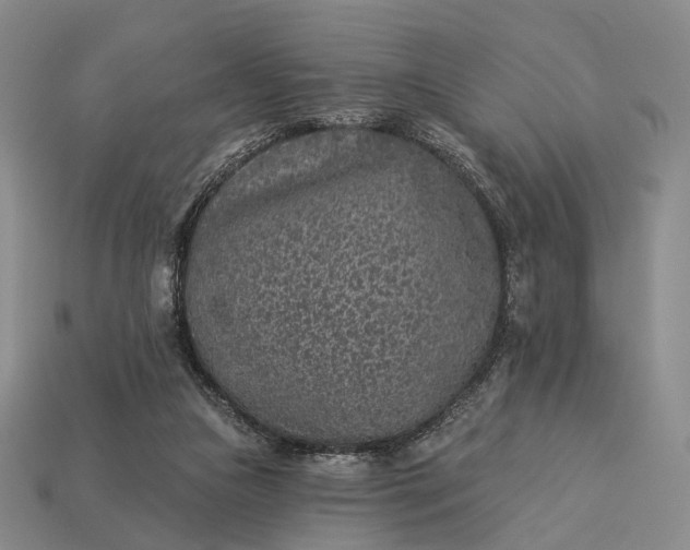 X0000112940161200909071102