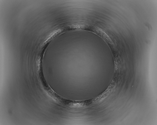 X0000112940163200909071102