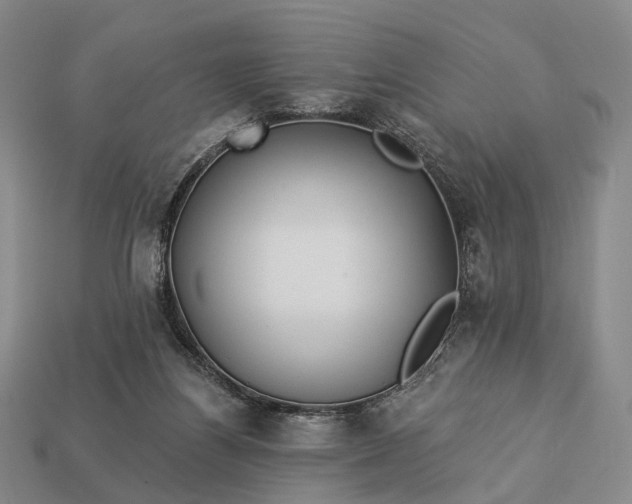 X0000112940164200909071102