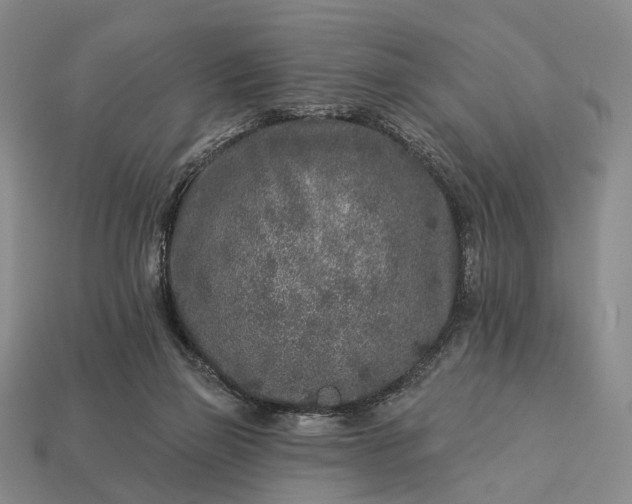 X0000112940165200909071102