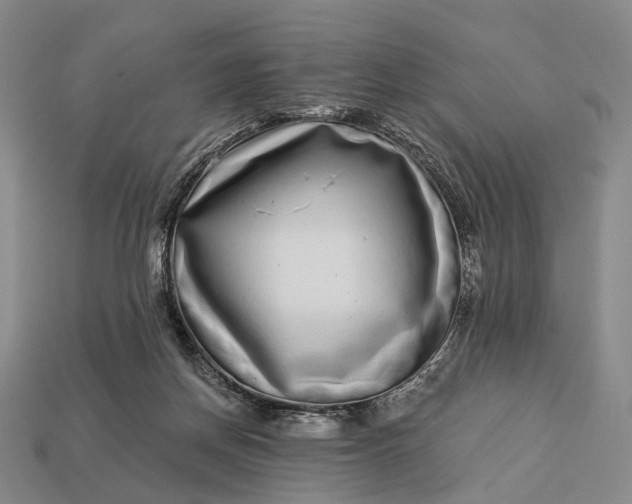 X0000112940166200909071102