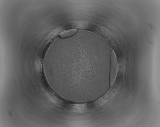 X0000112940168200909071102