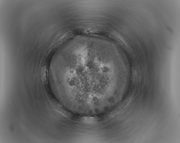 X0000112940169200909071102