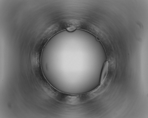 X0000112940170200909071102